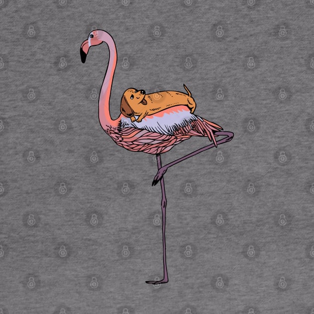 Flamingo and Dachshund by huebucket